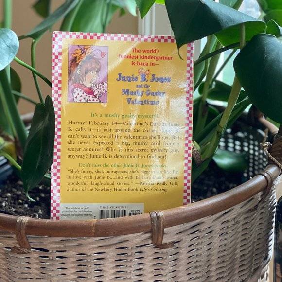 Barbara Park's Junie B Book Collections. - Picture 9 of 11